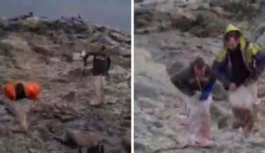 Video of men 'almost trampling' baby birds on Scottish island prompts action