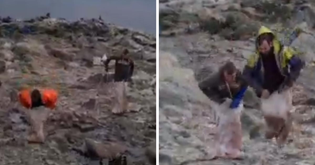 Video of men 'almost trampling' baby birds on Scottish island prompts action