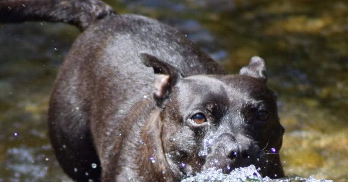 Best 14 photos taken by Andover Advertiser Camera Club in July