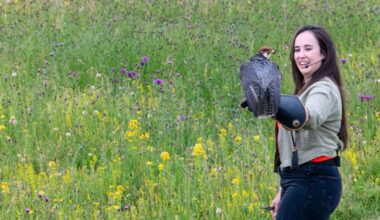 Hawk Conservancy Trust, Andover: Megan McCubbin to appear