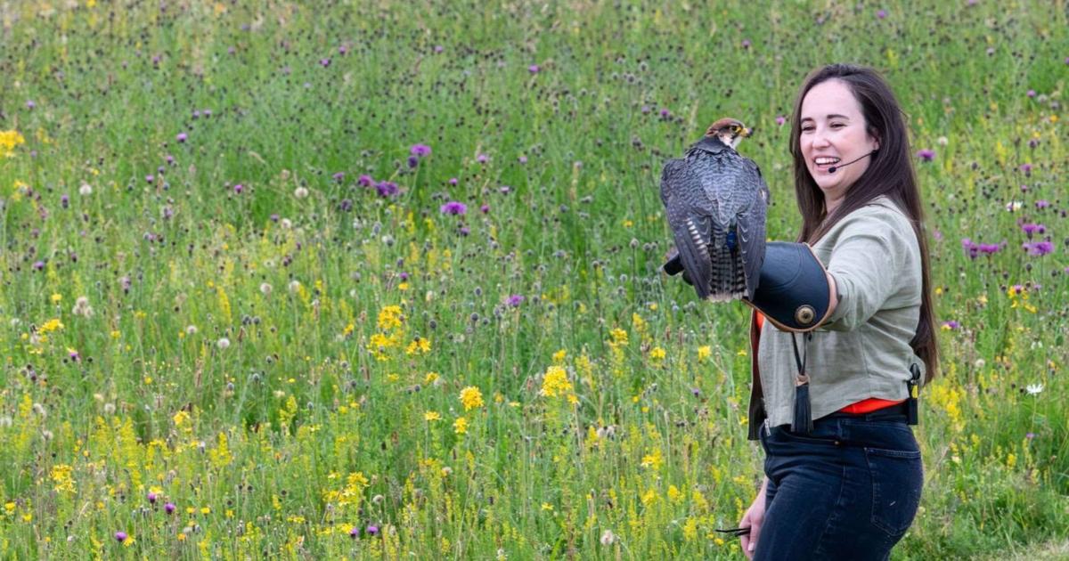 Hawk Conservancy Trust, Andover: Megan McCubbin to appear