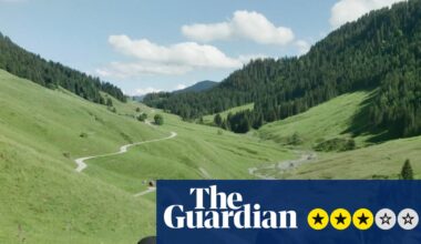 Out of Sight review – mountain idyll on the Swiss border is a gilded cage for distressed asylum seekers | Movies