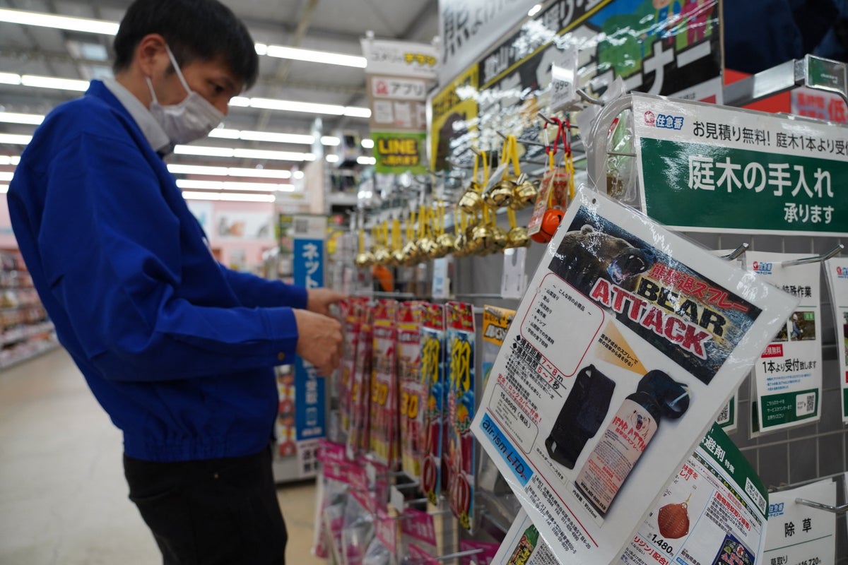 Five in hospital after man accidentally sets off anti-bear spray in Japan post office - The Independent