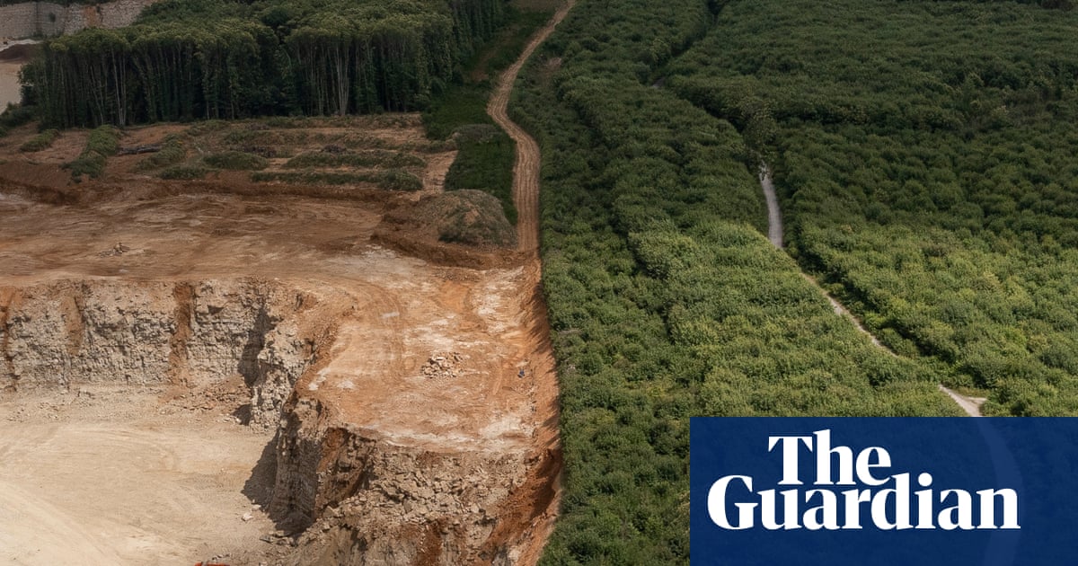 ‘It’s irreplaceable’: Fury over Reform plans to expand quarry in ancient Kent woodland | Trees and forests