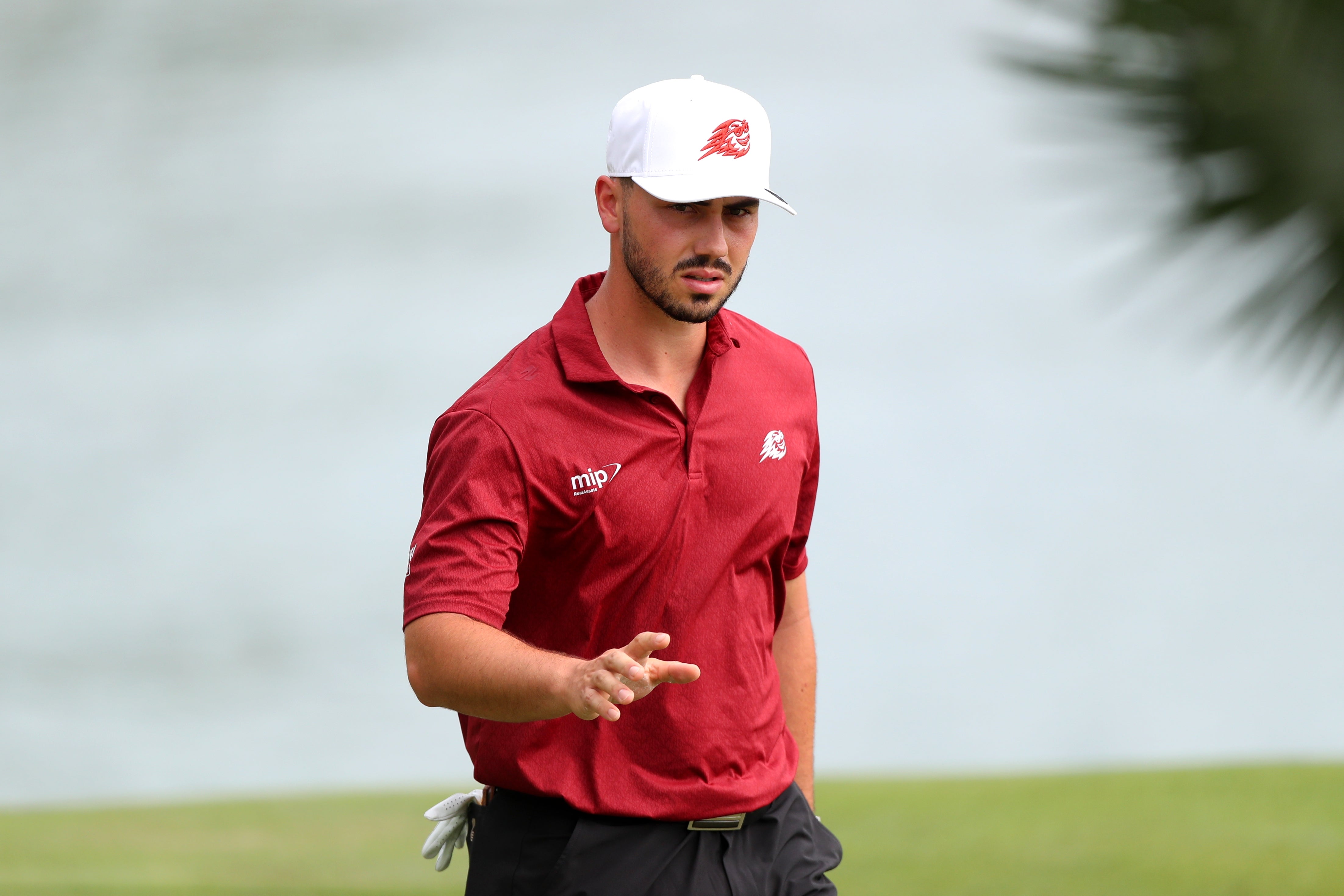 Josele Ballester has qualified for the Open at Birkdale