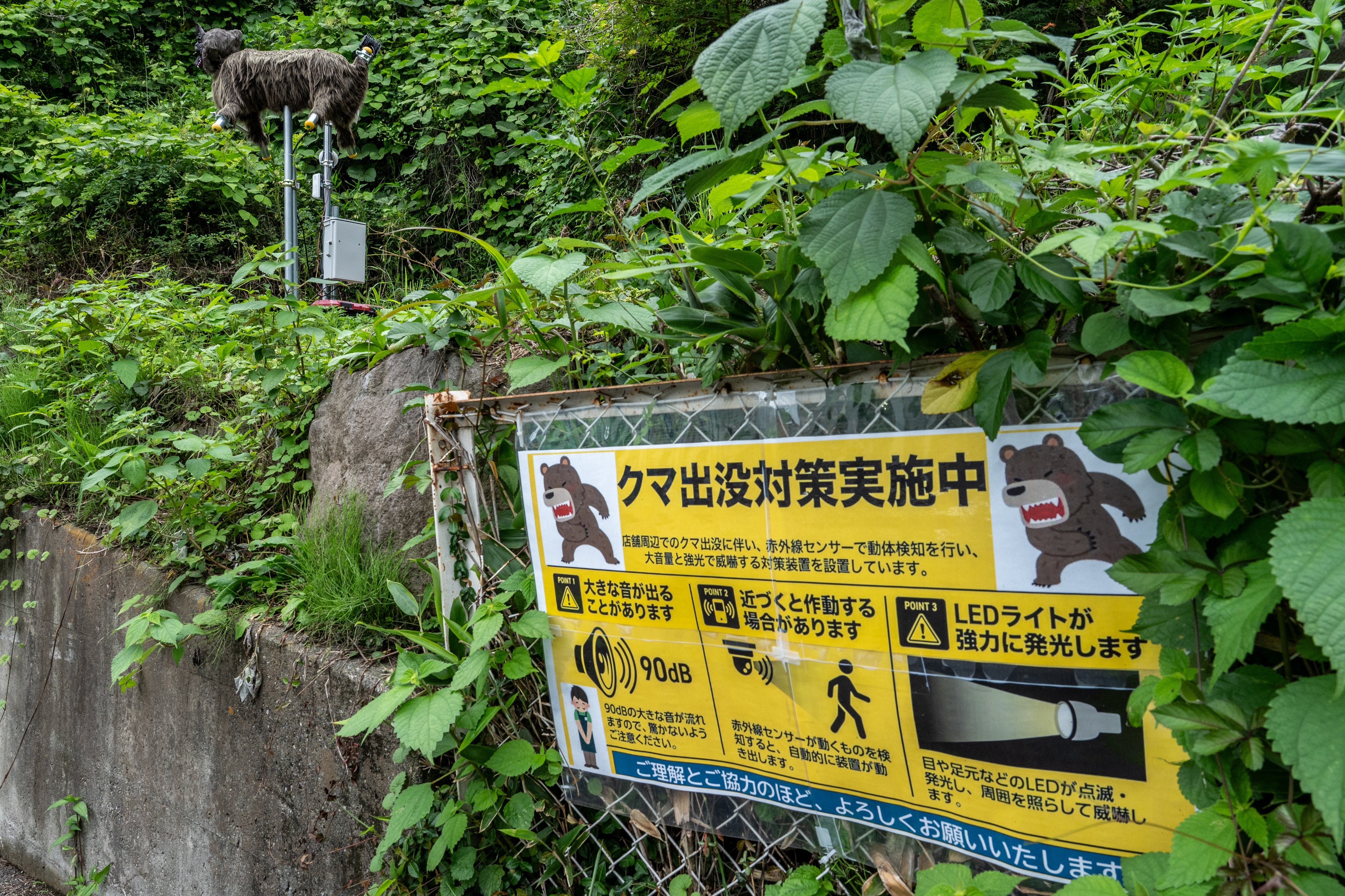 A sign showing bear deterrent measurements is pictured next to a robotic wolf-shaped deterrent device outside a convenience store at a rural area in Kiryu city in Gunma prefecture