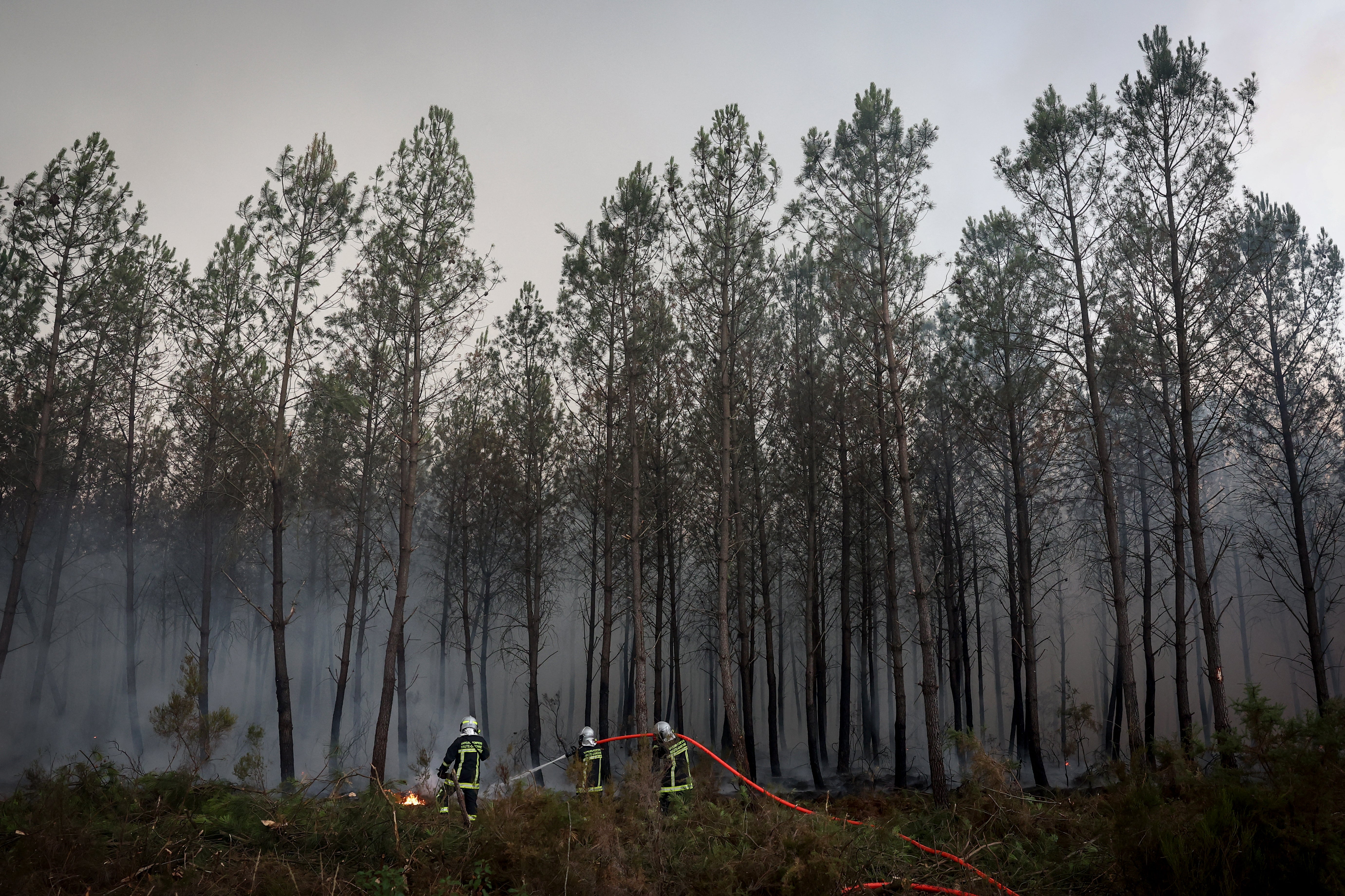 Firefighters battle a forest fire in Saint-Jean-d'Illac,