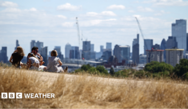 A group of people sit on the dry, sun-scorched grass of Primrose Hill with the skyline of central London in the background