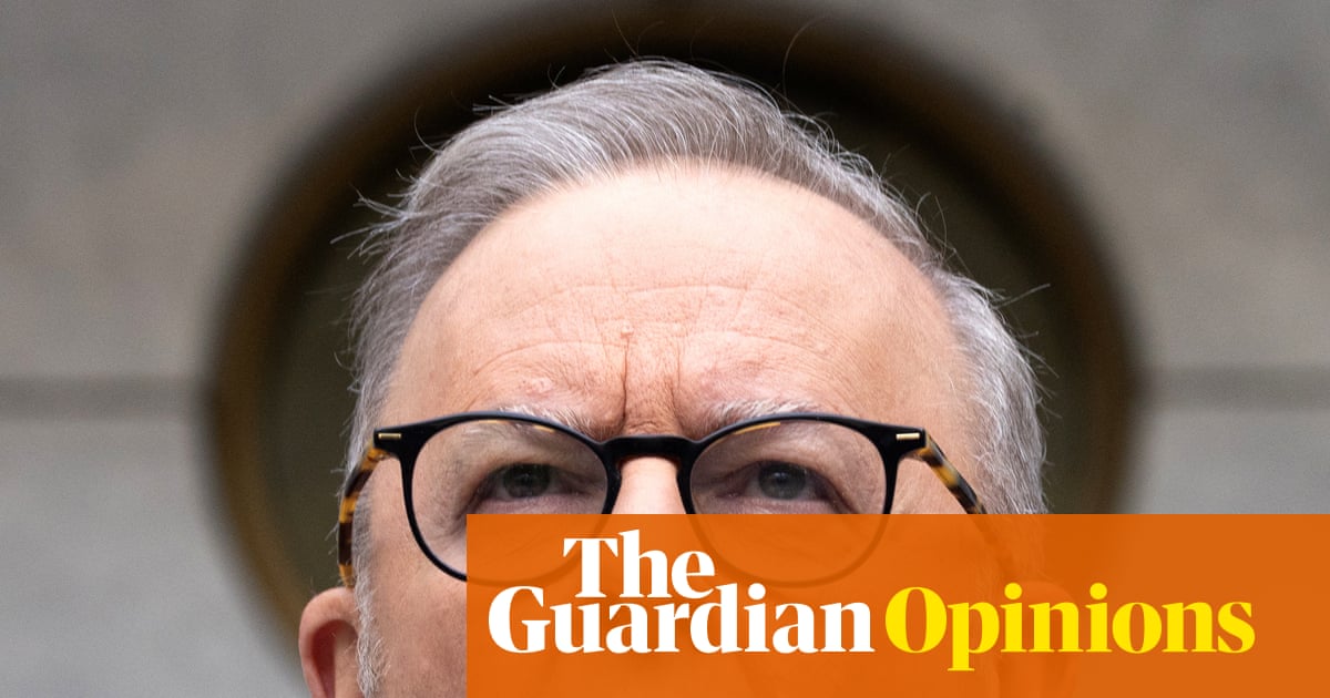 AI may be the toughest challenge Anthony Albanese faces this term. Guardrails are urgently needed | Peter Lewis