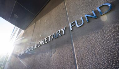Mozambique's international reserves grow again after decline from IMF payment