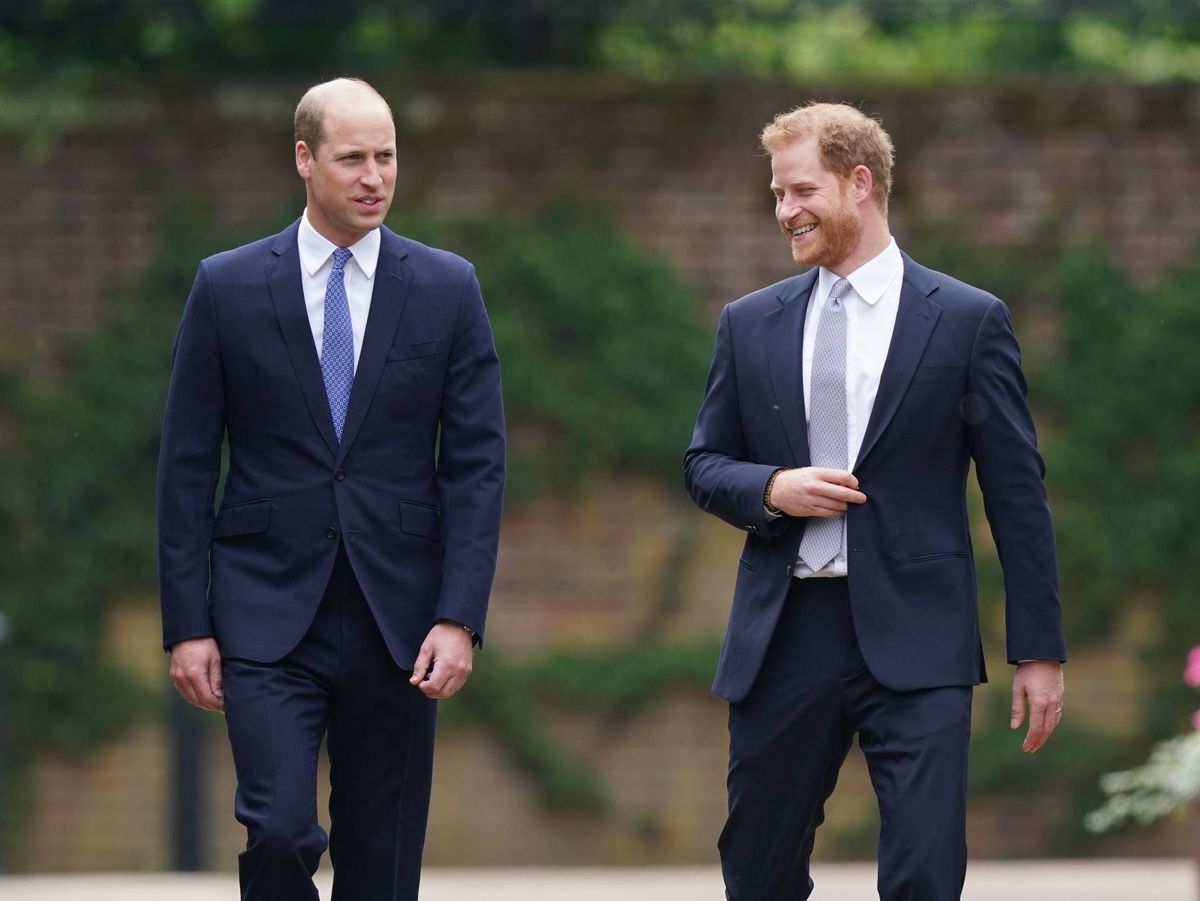 prince william and harry