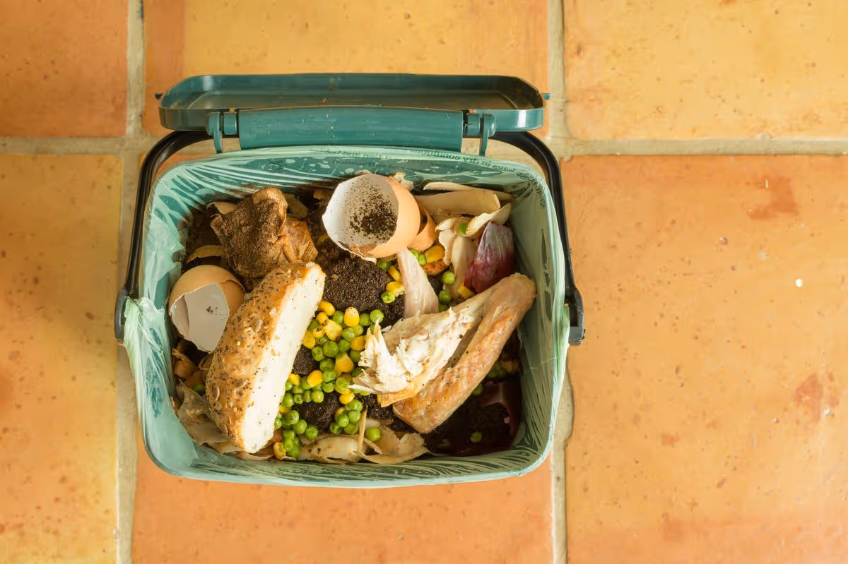 Food waste recycled in green bins