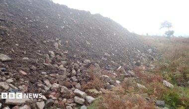 A large pile of rubble and dirt has been dumped in the middle of a grassy field. A tree can be seen in the distance.