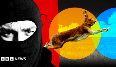 A designed composite image featuring a background of a grassy field with a running hare, which is overlaid with abstract coloured circles as if in a spotlight. In the foreground, a man in a black balaclava stares out.