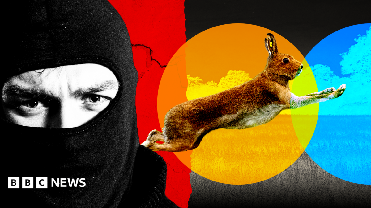 A designed composite image featuring a background of a grassy field with a running hare, which is overlaid with abstract coloured circles as if in a spotlight. In the foreground, a man in a black balaclava stares out.