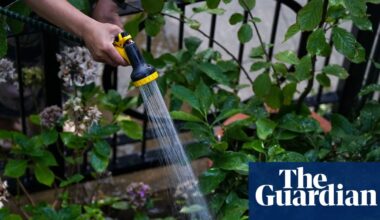 Thames Water joins hosepipe ban as England and Wales approach drought status | Water