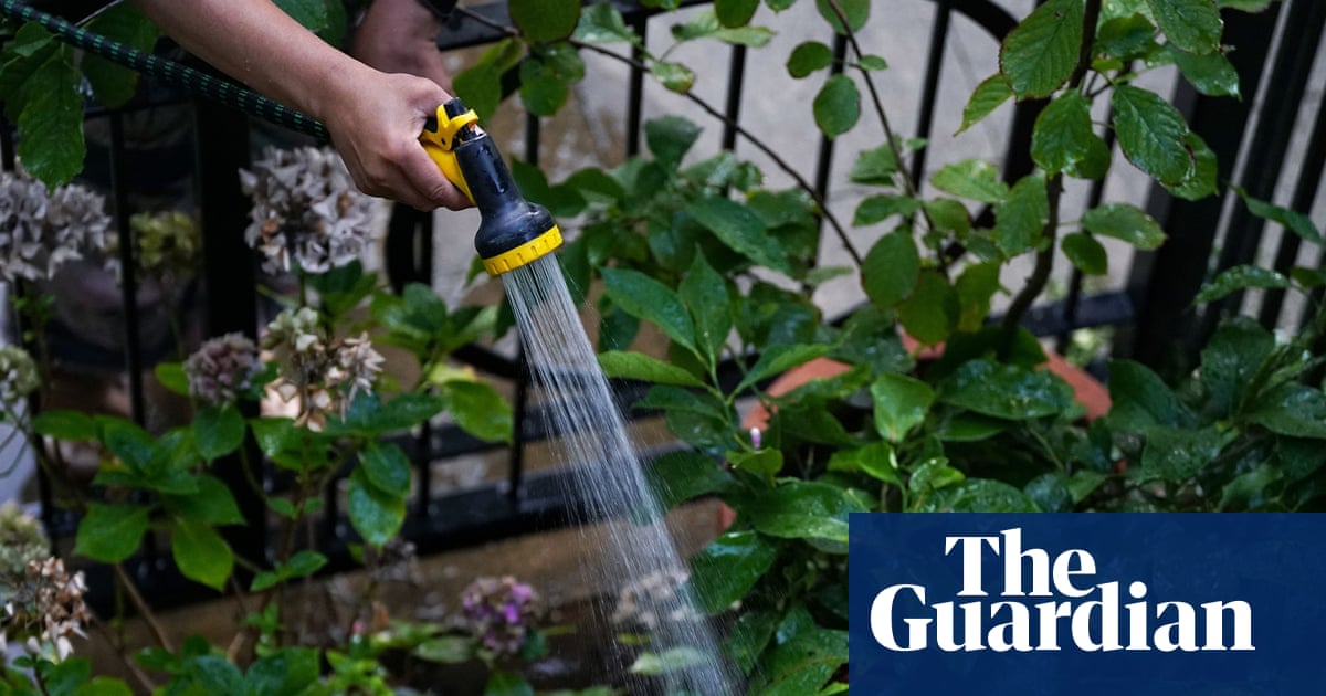 Thames Water joins hosepipe ban as England and Wales approach drought status | Water