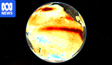 Record El Niño to bake Australia after extreme heat and fires across Europe and North America