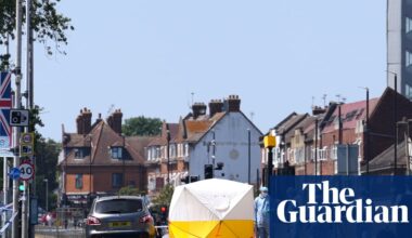 Man arrested after 24-year-old woman killed in stabbing in west London | UK news