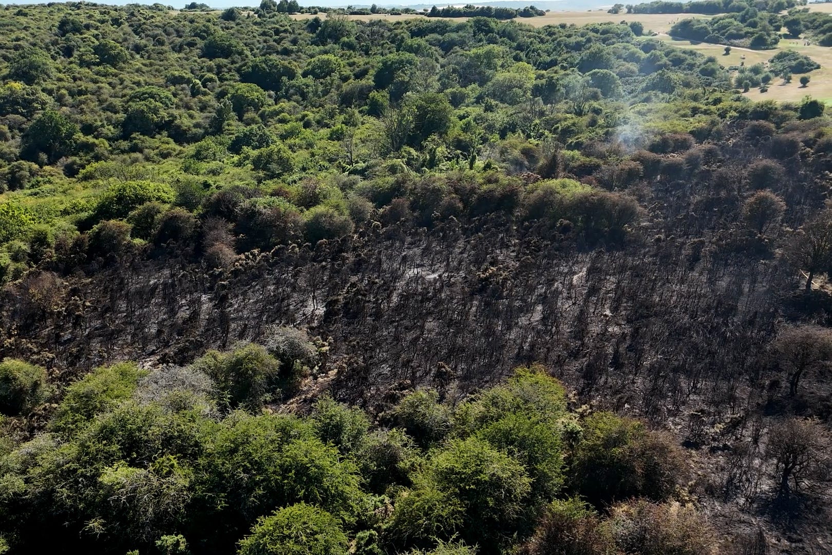 Burnt areas due to a wildfire at Devil’s Dyke in West Sussex. (Jamie Lashmar/PA).