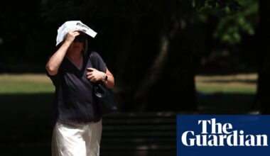 June heatwave killed up to 440 people a day in England and Wales, data suggests | Extreme heat