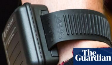 Expansion of electronic tagging in England and Wales will put public at risk, watchdog warns | Prisons and probation