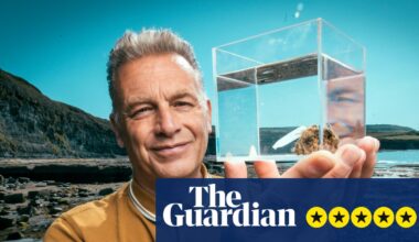 Evolution review – with this TV miracle, David Attenborough’s successor is well and truly crowned | Television