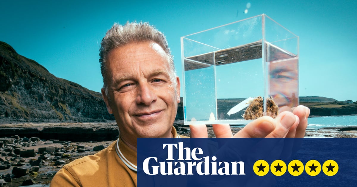 Evolution review – with this TV miracle, David Attenborough’s successor is well and truly crowned | Television