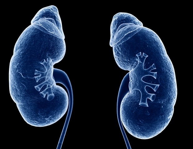 Medical breakthrough allows kidney transplant for patient with zero options