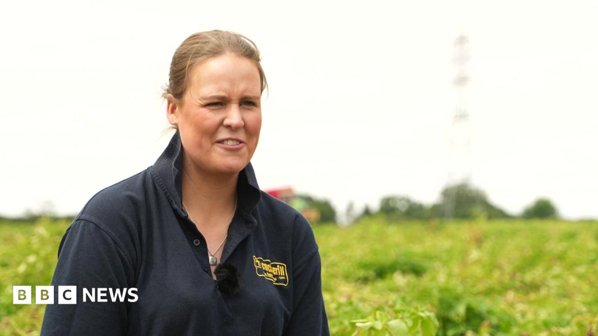 Polly Megginson pictured in a farmer's field. She has fair-coloured hair and is wearing a blue polo shirt.