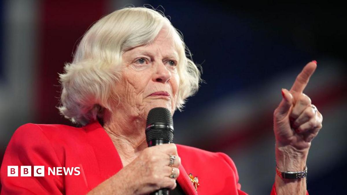 Ann Widdecombe wears a red jacket and holds a microphone while speaking at the Reform Party 2024 Conference.