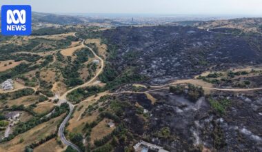 Wildfires in France and Greece leave at least two people dead