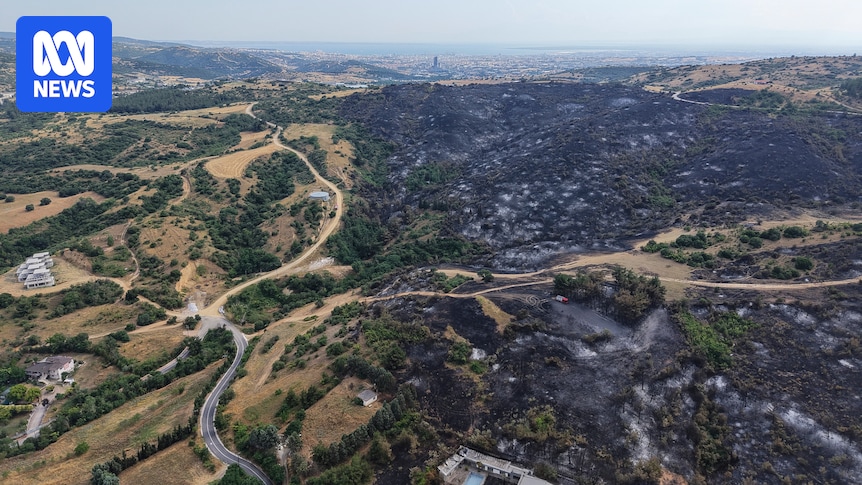 Wildfires in France and Greece leave at least two people dead