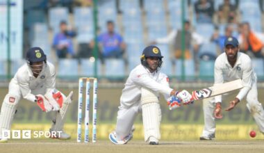 Sri Lanka's Dhananjaya de Silva plays a reverse sweep shot in a Test against India in 2017