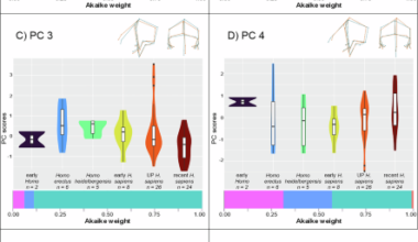 Evolutionary drivers of encephalization and facial reduction in the genus Homo