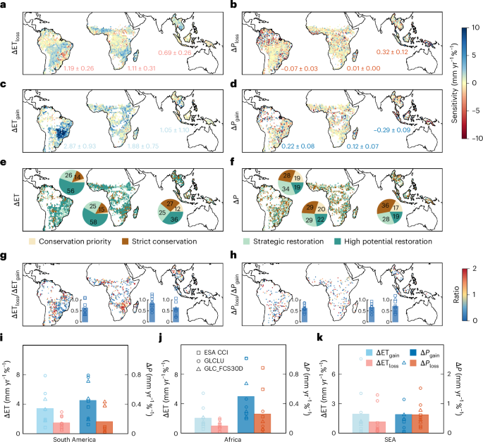 Targeted tropical forest restoration can offset deforestation-induced water flux losses
