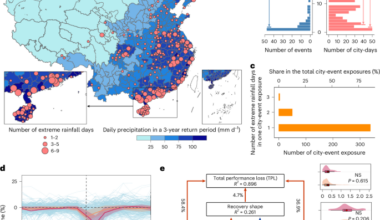 Intercity connectivity enhances urban mobility resilience to extreme rainfall