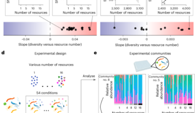 Increased nutrient diversity can induce loss of microbial diversity through enhanced resource uptake