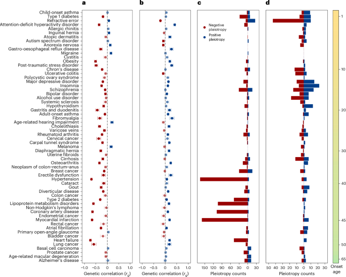 Genetic trade-offs in fertility and longevity explain the maintenance of disease-associated alleles in humans