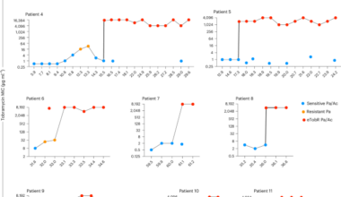 Within-patient gene transfer between transiently and chronically infecting bacteria causes extreme antibiotic resistance during lung infections