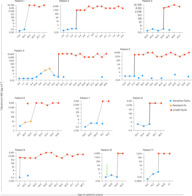 Within-patient gene transfer between transiently and chronically infecting bacteria causes extreme antibiotic resistance during lung infections
