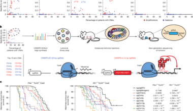 Aneuploidy selects for the acquisition of driver genes in breast cancer