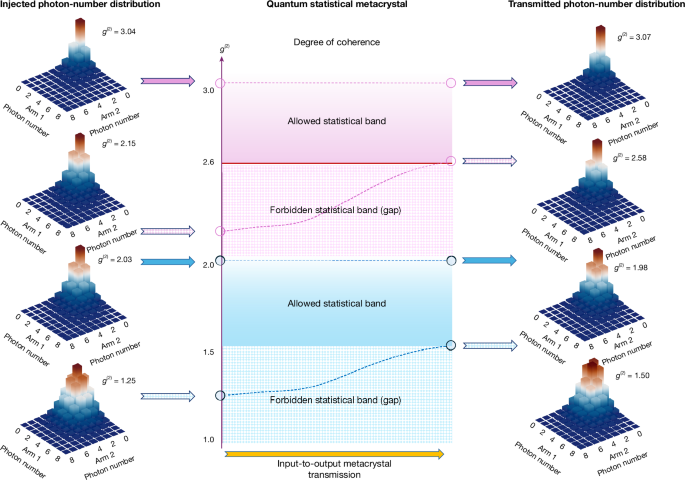 Fig. 2: Observation of allowed and forbidden quantum statistical bands in a plasmonic metacrystal.