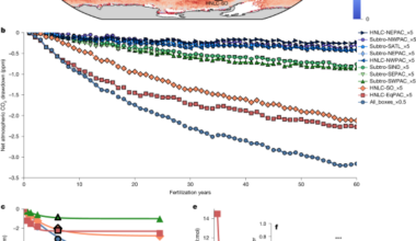 Climate benefit and ecological cost trade-offs for ocean iron fertilization