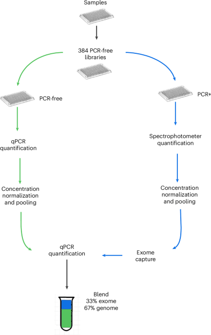 A blended genome and exome sequencing method captures genetic variation in an unbiased and cost-effective manner