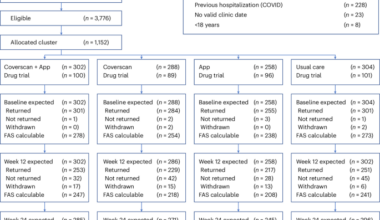 Integrated care pathway in individuals with Long COVID: STIMULATE-ICP, a cluster-randomized, phase 3 trial