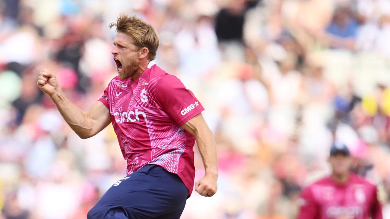 T20 Blast Finals Day - Somerset 'thought they'd won it' but revved up David Willey has final say