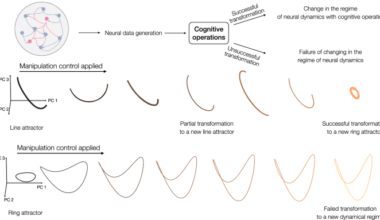 Generative AI as a transformational logic for cognitive neuroscience