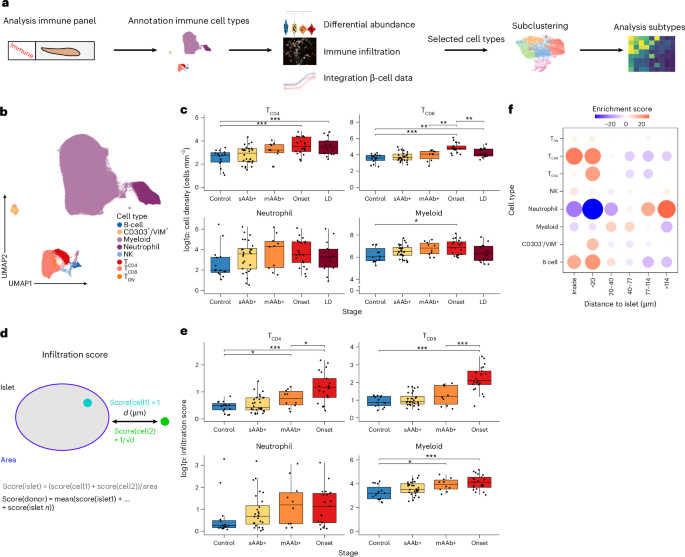 Fig. 3: Immune cell type dynamics across T1D disease stages.