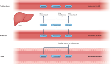 Short-chain fatty acids | Nature Metabolism